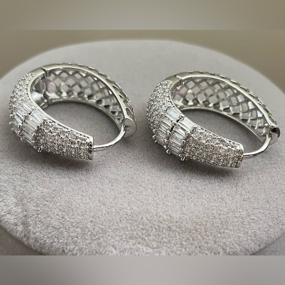 Gorgeous Stainless Steel Silver Tone Earrings, NWOT!